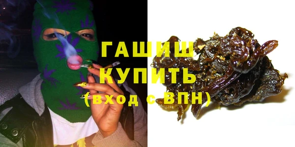 стаф Алексин
