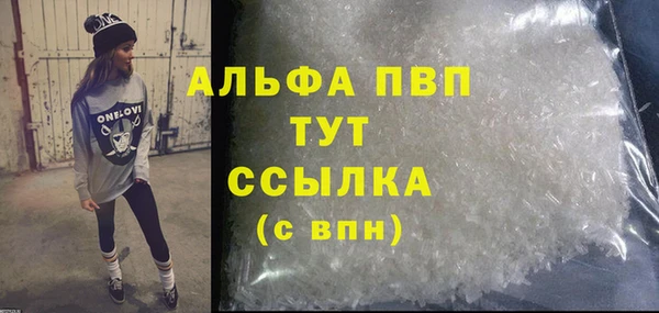 стаф Алексин