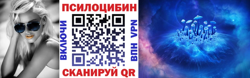 Псилоцибиновые грибы Psilocybe  это клад  Бирюсинск  kraken ссылки 