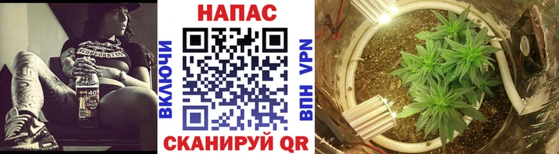 даркнет сайт  Бирюсинск  МАРИХУАНА план 